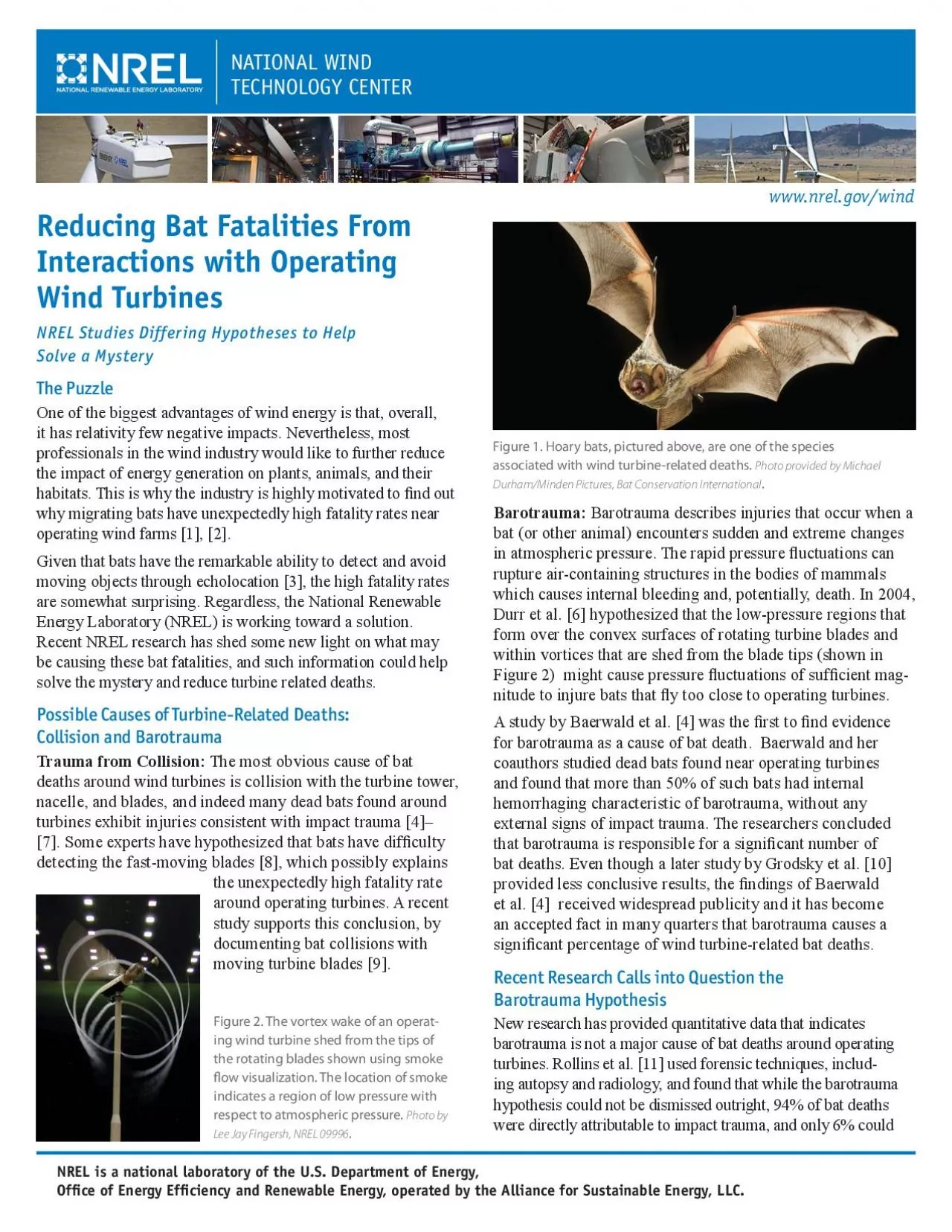 PDF-wwwnrelgovwindReducing Bat Fatalities From Interactions with Operat