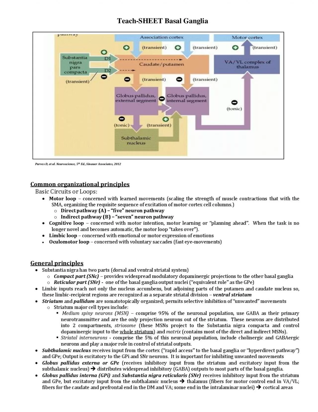 PDF-Basal Ganglia