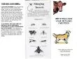 PDF-BEE STINGS AND