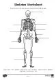 Skeleton Worksheet