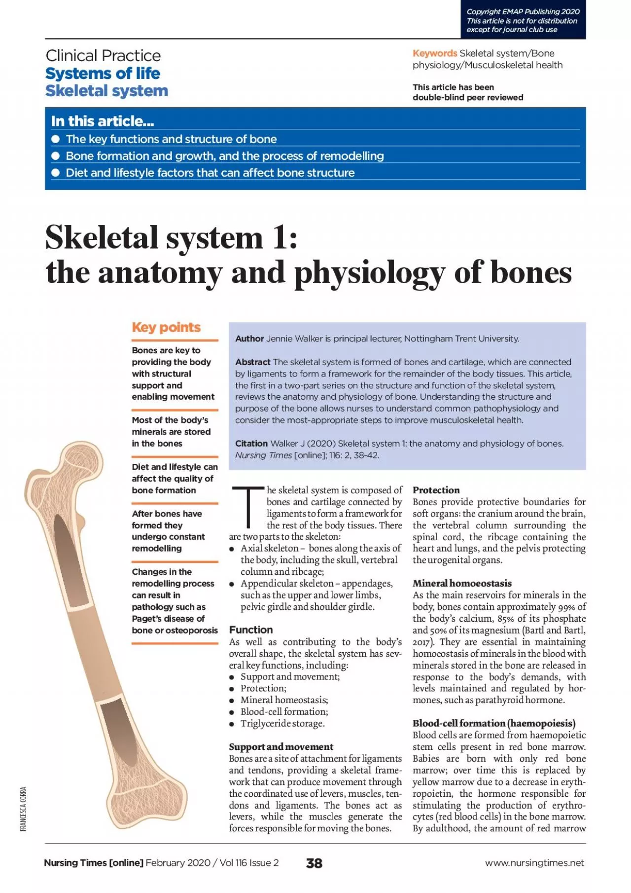 PDF-he skeletal system is composed of bones and cartilage connected by lig