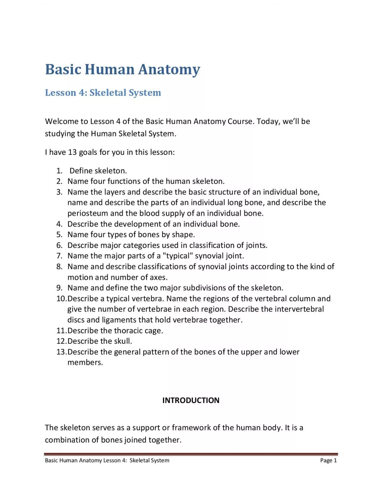Basic Human Anatomy Lesson