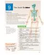 The Axial Skeleton