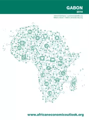 GABON2014www.africaneconomicoutlook.orgG