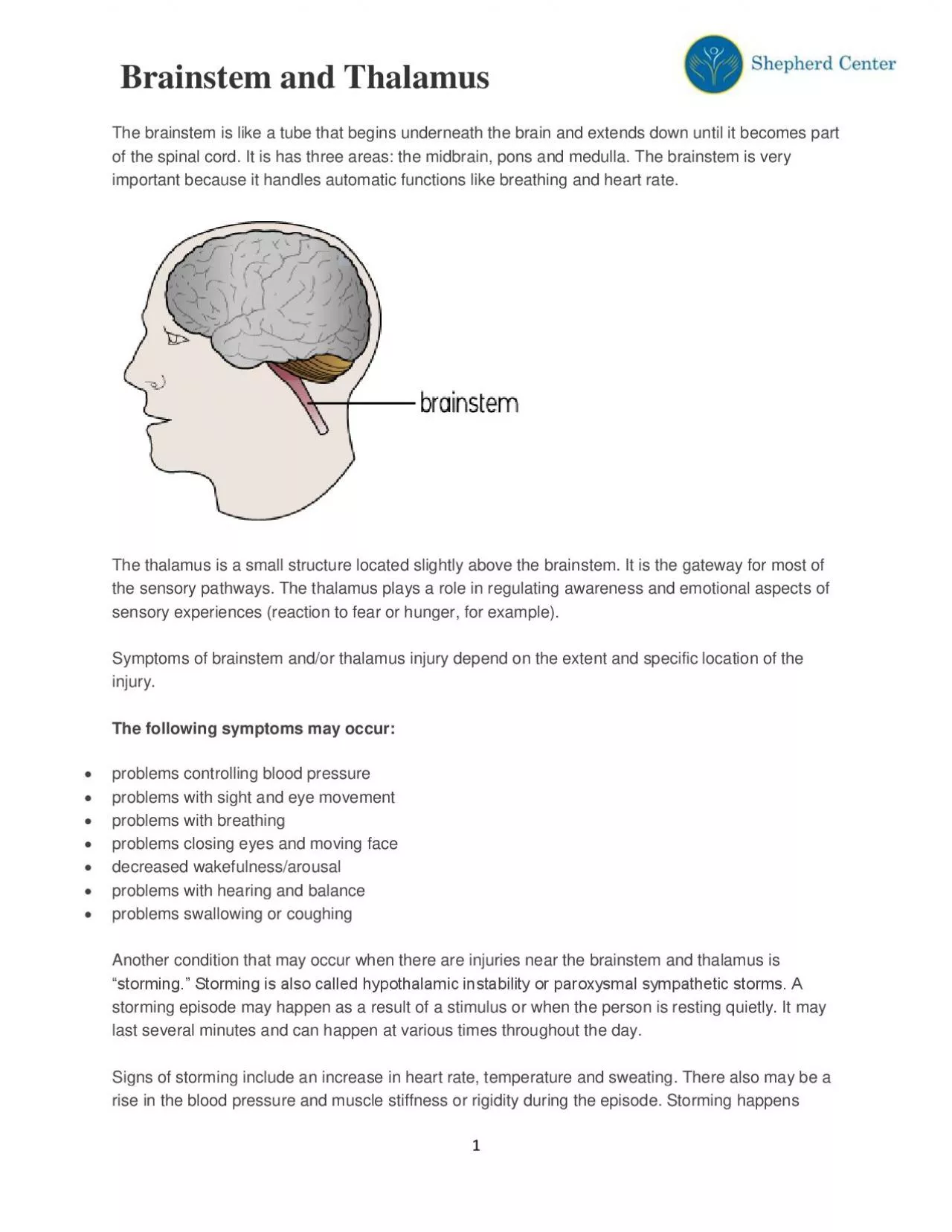 PDF-Brainstem and Thalamus