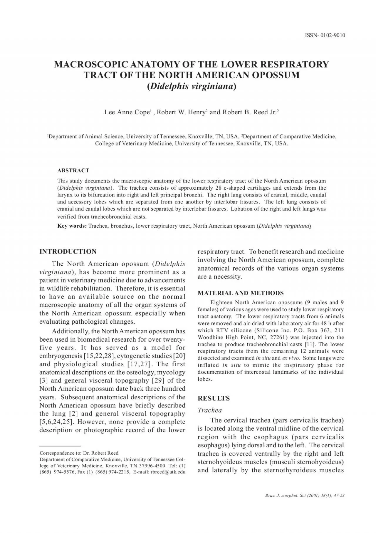 PDF-Respiratory Tract Anatomy of D virginianaMACROSCOPIC ANATOMY OF THE L