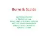 PDF-Burns Scalds