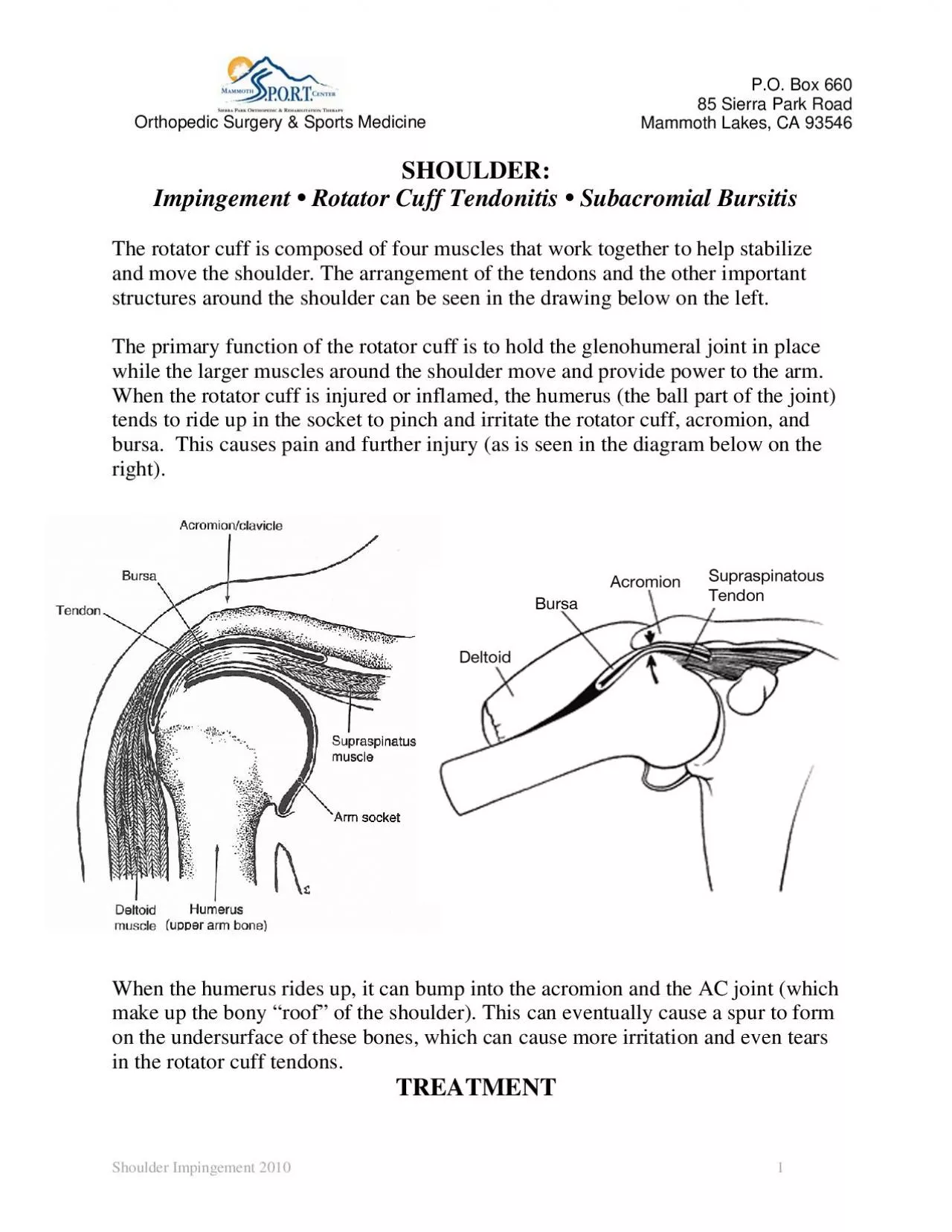 PDF-Shoulder Impingement 2010 3 a camera used to look into the joint T