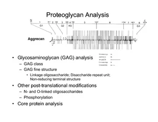 Analysis(GAG) analysisand O-linked oligosaccharides