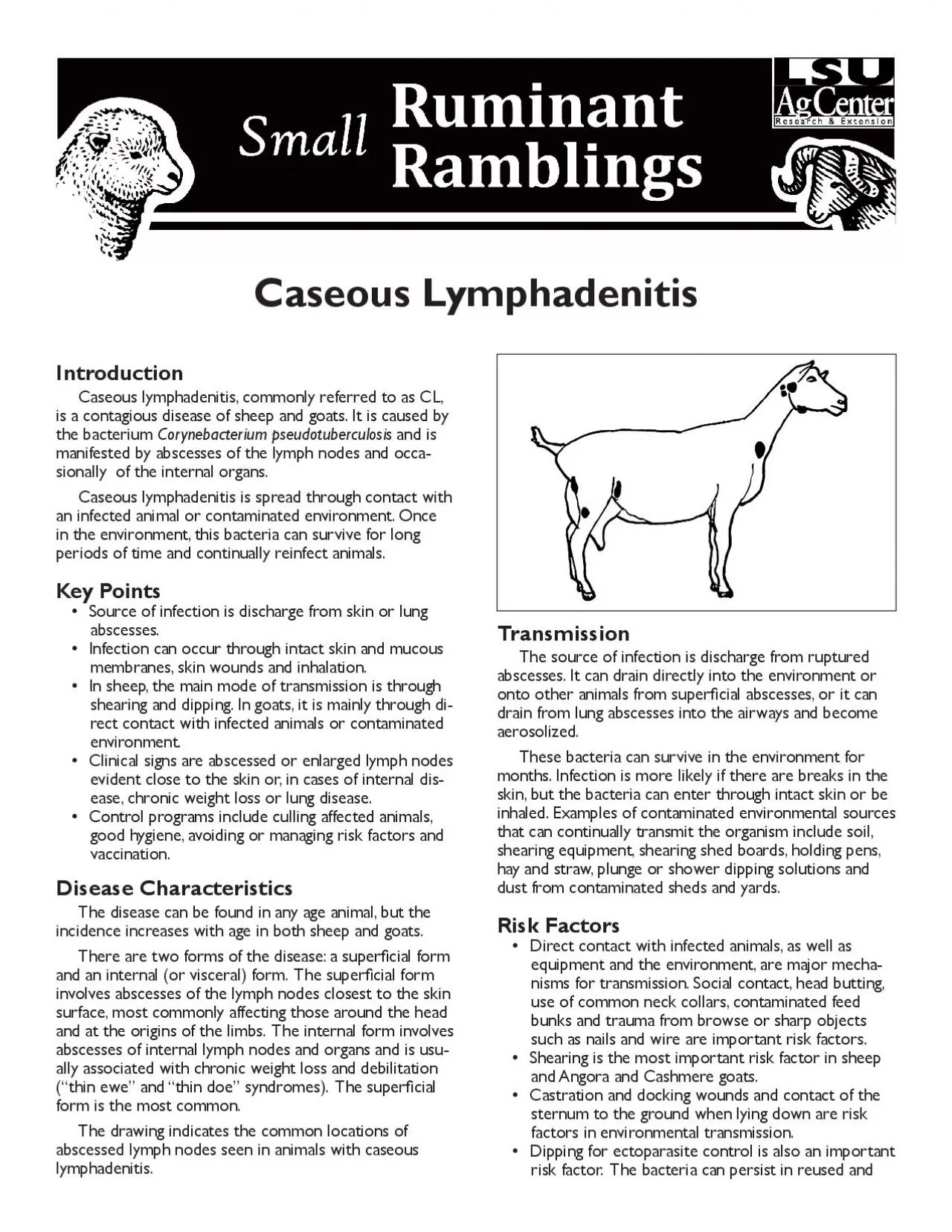 PDF-Caseous Lymphadenitis