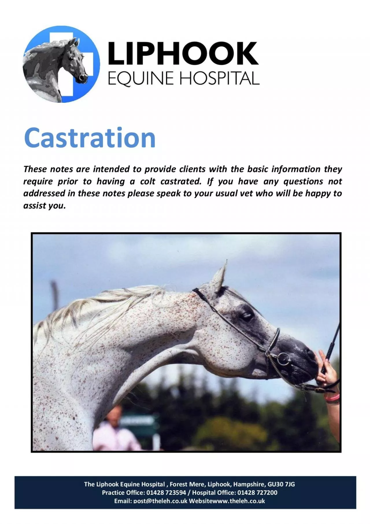 PDF-Castration