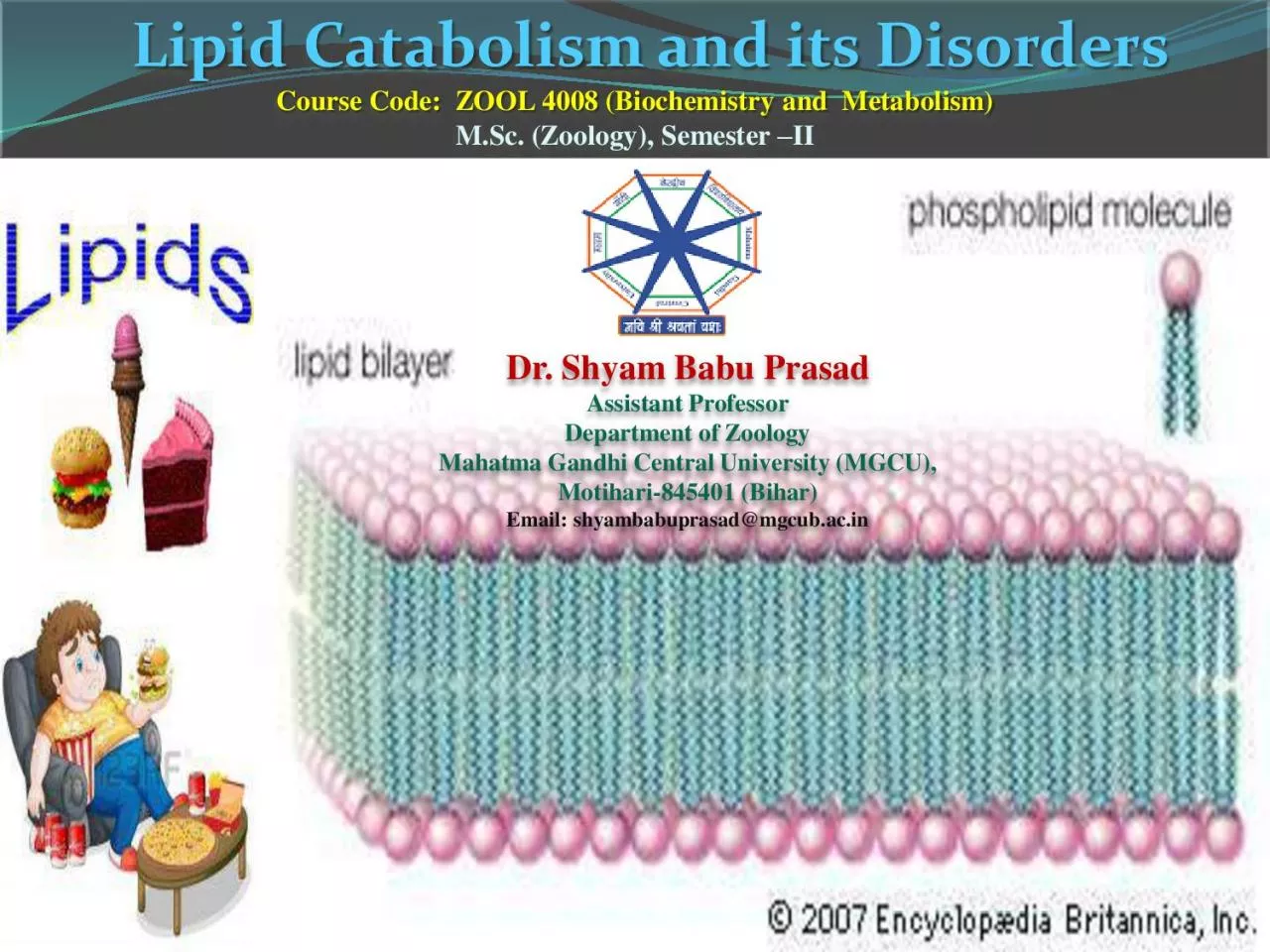 Lipid Catabolism and its Disorders