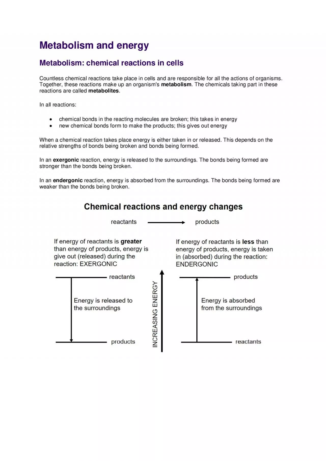 PDF-Metabolism and energy