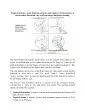 Tropical cyclones storm divisions pressure and winds vertical struc