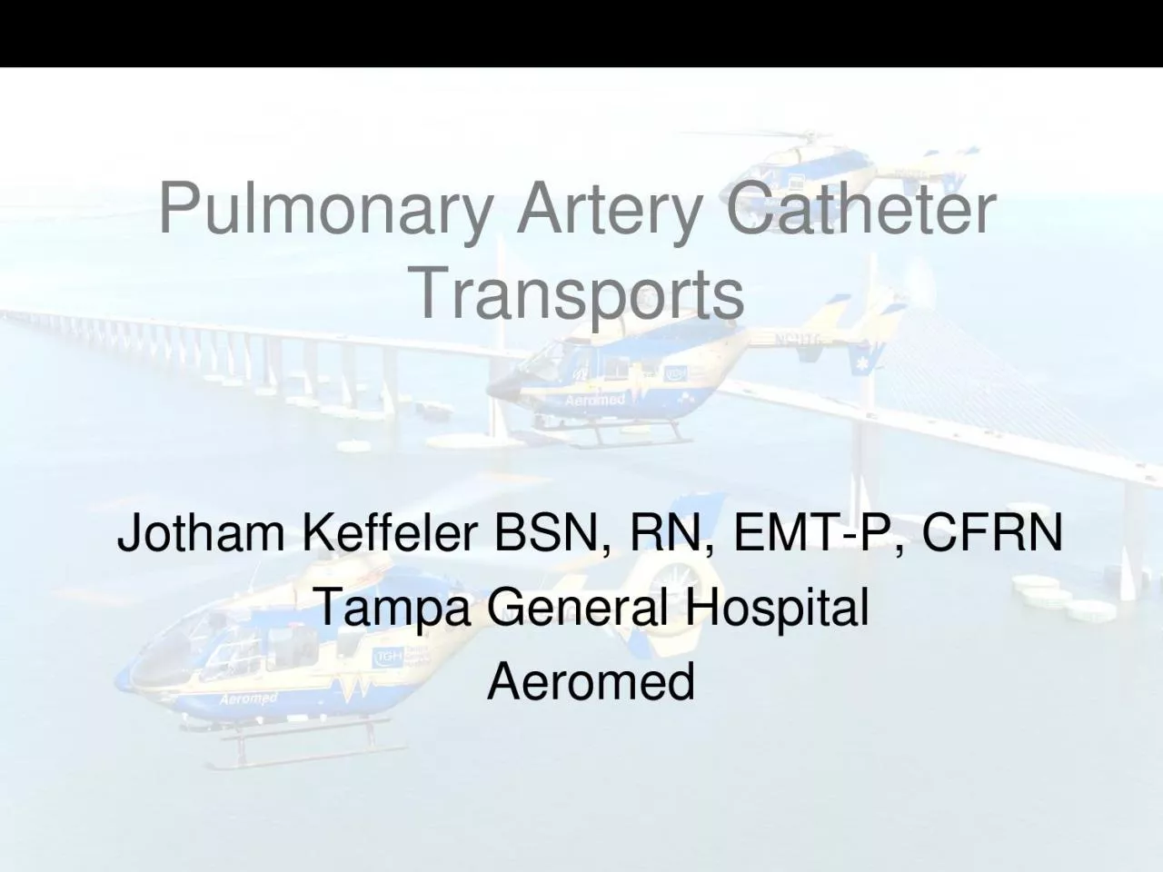 PDF-Pulmonary Artery