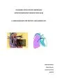 PULMONARY ARTERY PRESSURE MONITORING