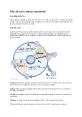 The cell cycle mitosis and meiosis