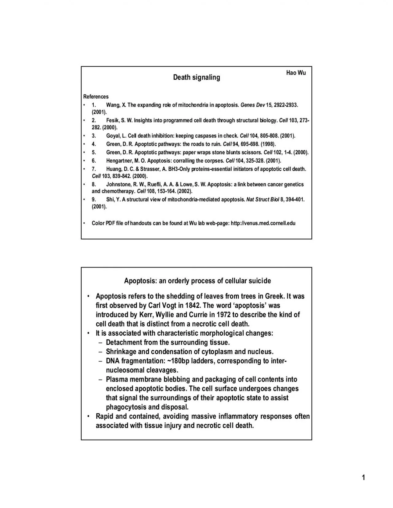 PDF-apoptosis.pdf