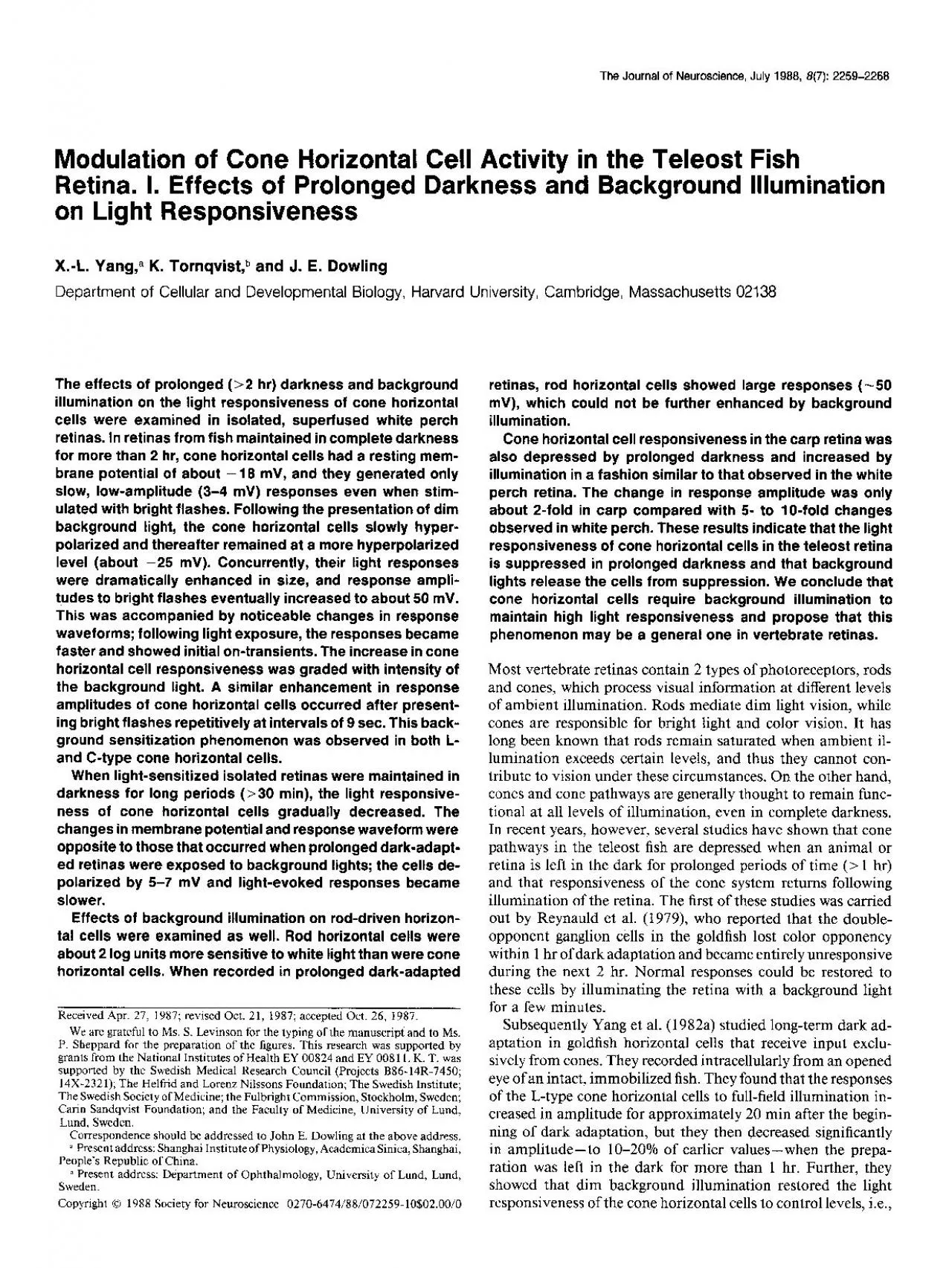 PDF-Modulation of Cone Horizontal Cell Activity in the Teleost Fish Retina