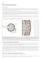 Fourth Study Program pp 163181 Cambridge MA MIT Press