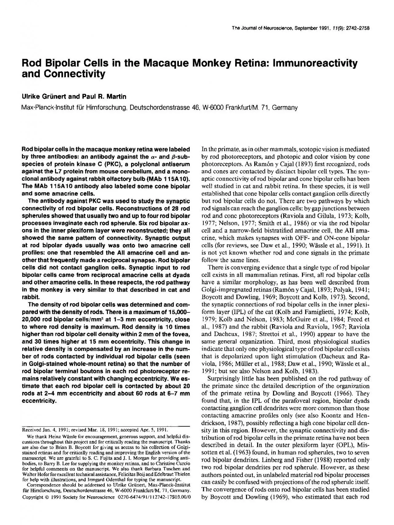 PDF-Rod Bipolar Cells in the Macaque Monkey Retina lmmunoreactivity and C