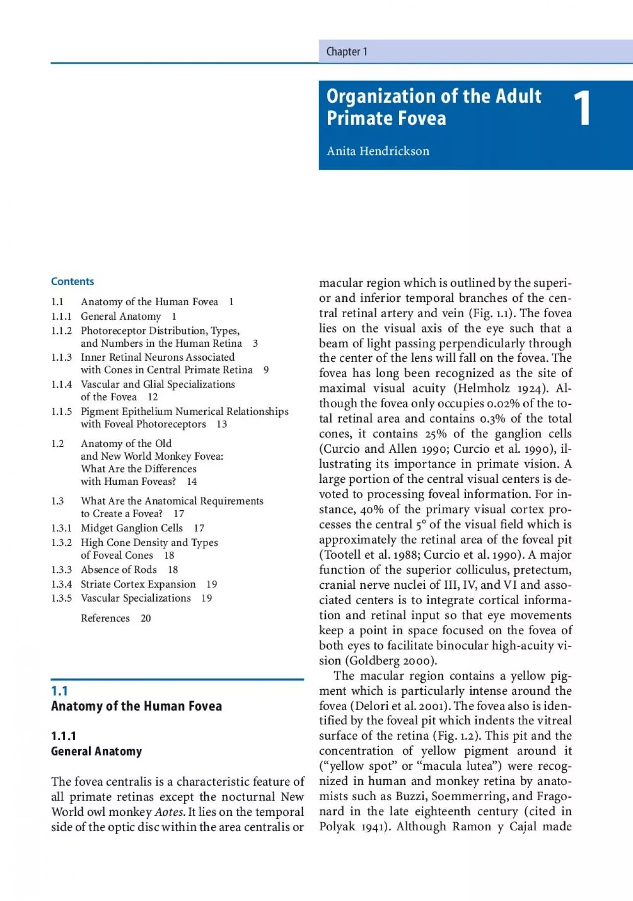 PDF-11Anatomy ofthe Human Fovea1111General Anatomy1112Photoreceptor D