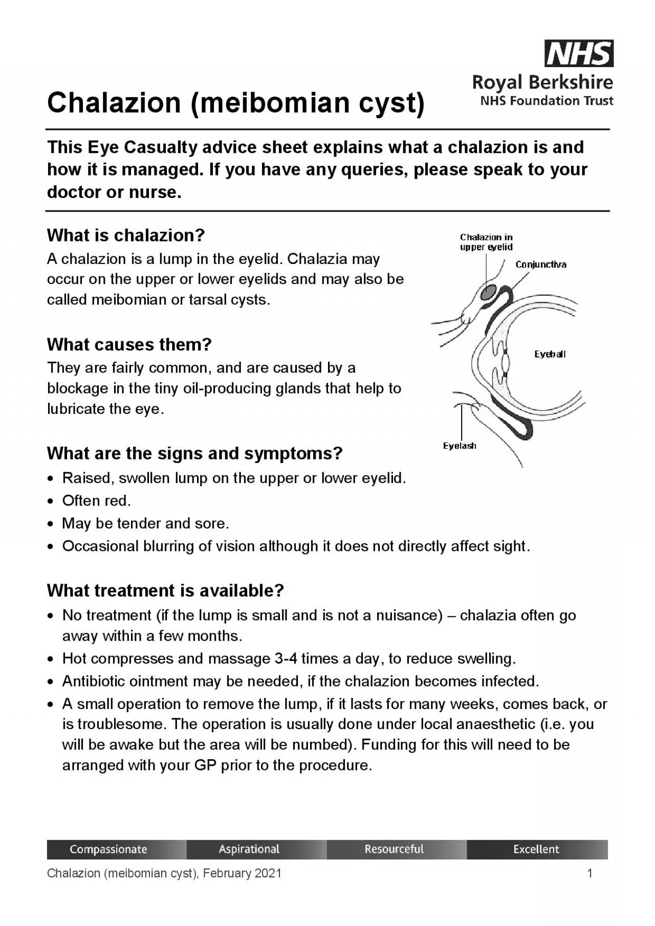 PDF-Chalazion meibomian cystFebruary 2021