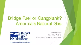 Bridge Fuel or Gangplank? America’s Natural GasJames McGarryChief