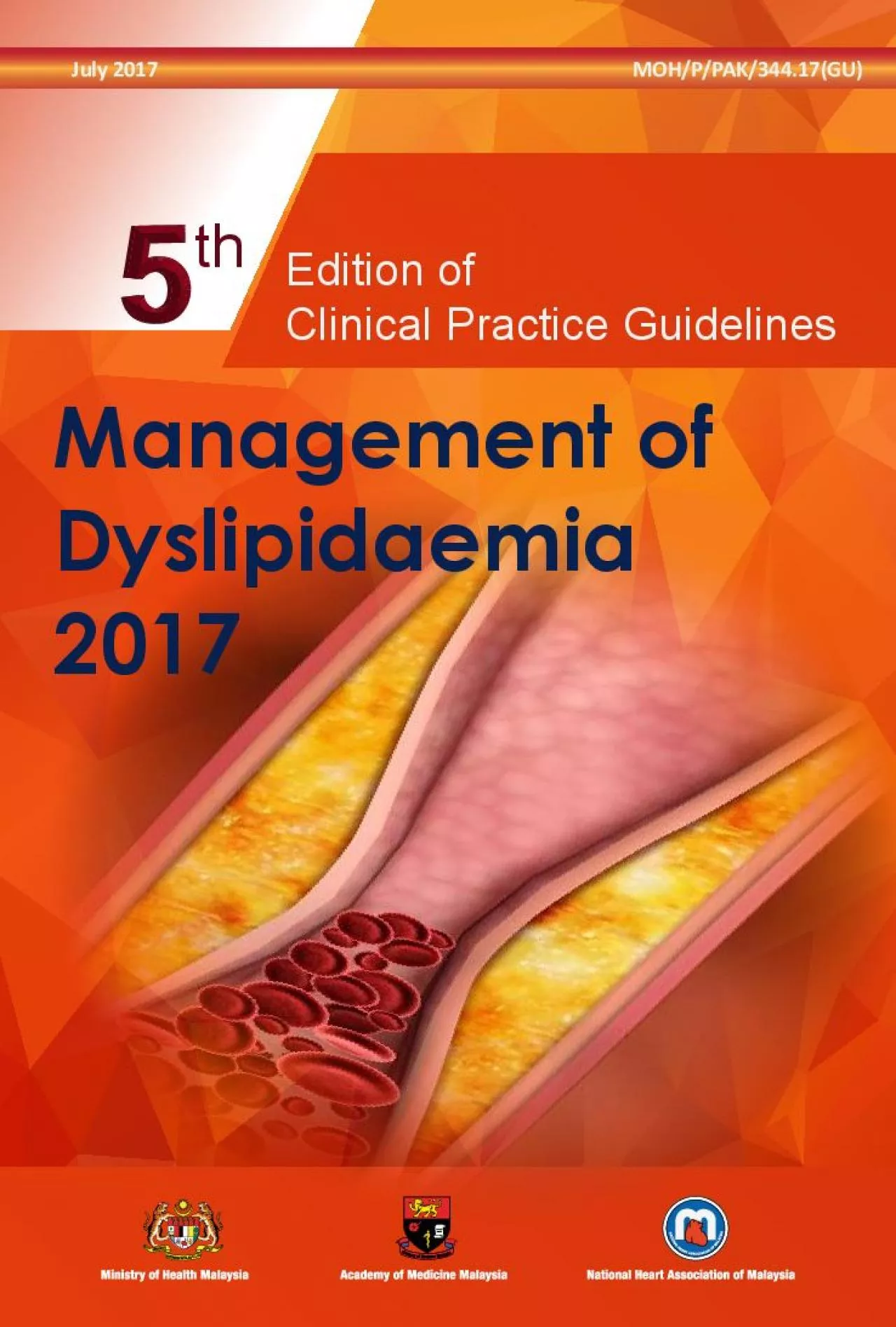 Management of Dyslipidaemia