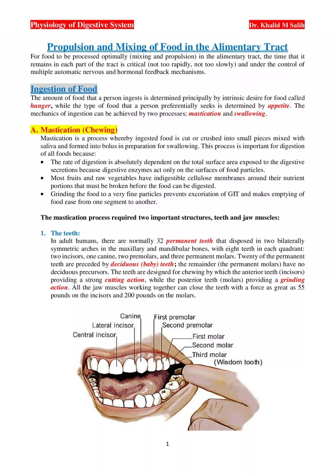 PDF-Physiology of Digestive System