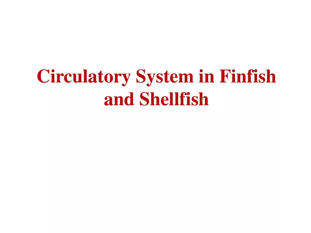 PDF-Circulatory System in Finfish