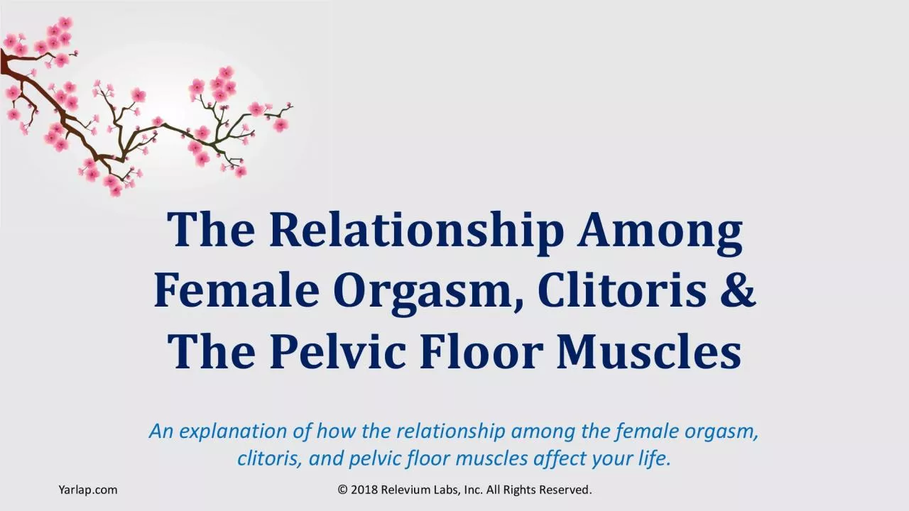 PDF-The-Female-Orgasm-Clitoris-Pelvic-Floor-Muscles.pdf