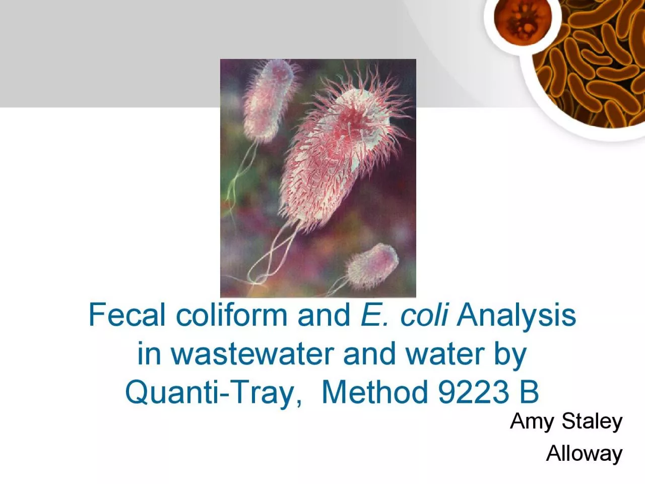 Fecal coliform and E coli Analysis in wastewater and water by QuantiT