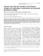 COL4A1andCOL4A2mutationsanddiseaseinsightsintopathogenicmechanismsand