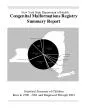 PDF-ongenitalalformationsegistryummaryeportNewYorkStateDepartmentofHealth