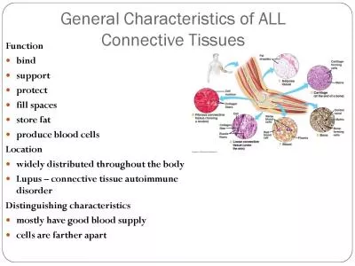 General Characteristics of ALL