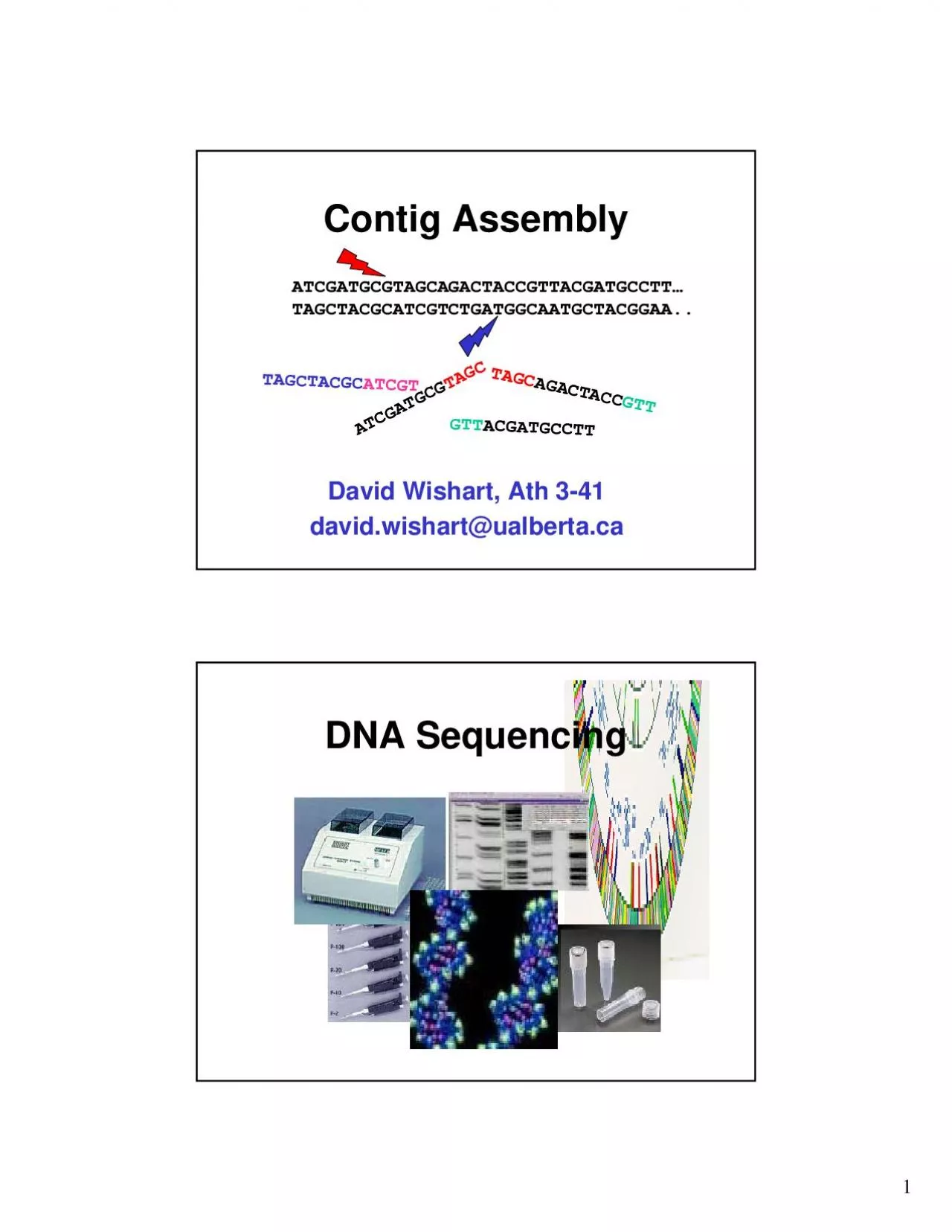 PDF-ContigAssembly