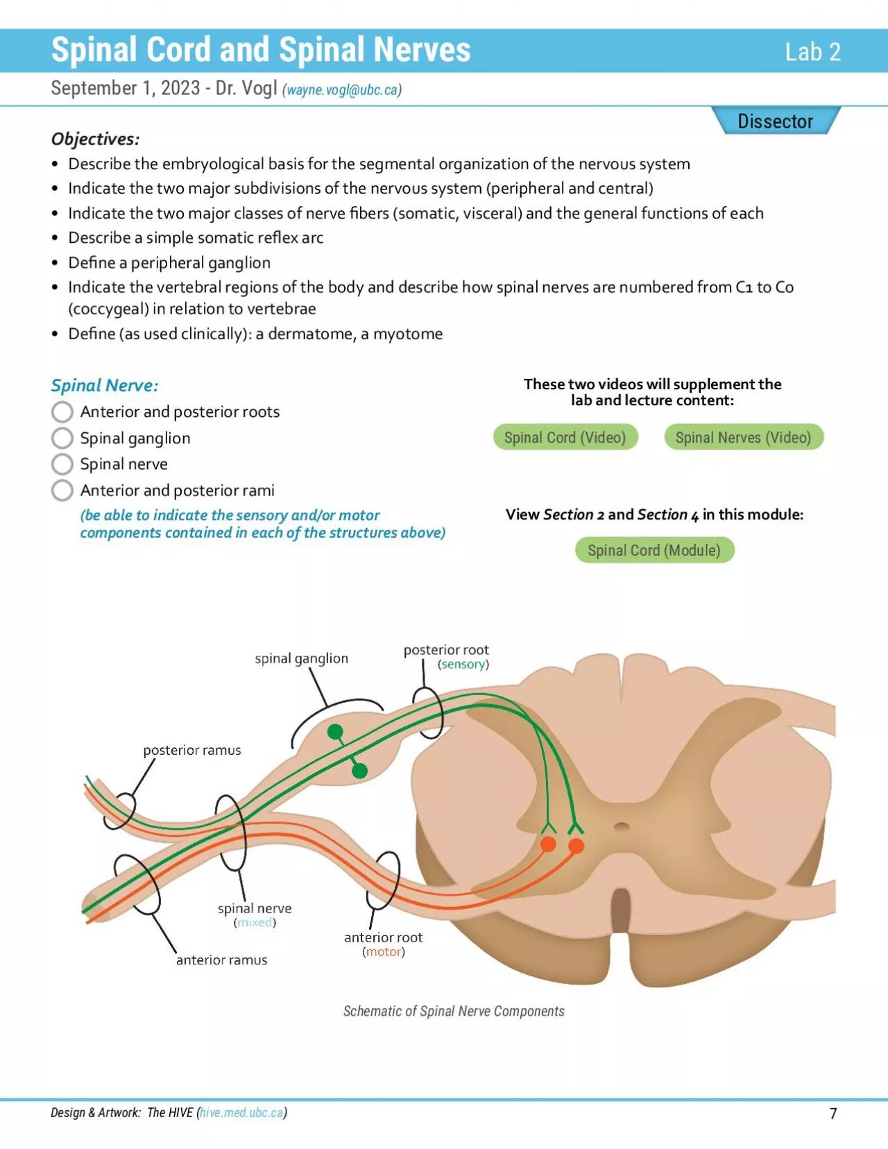 PDF-Dissector