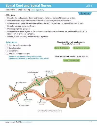 Dissector