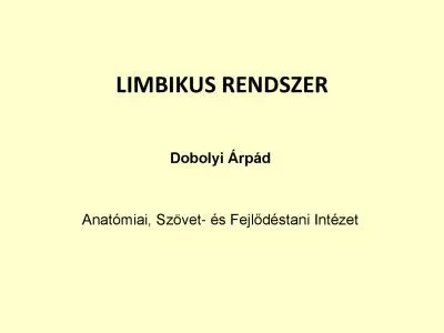 LIMBIKUS RENDSZER