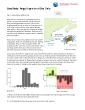 Final-Blue-Crab-case-study.pdf