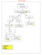 PDF-Algorithm_10-Craniopharyngioma.pdf