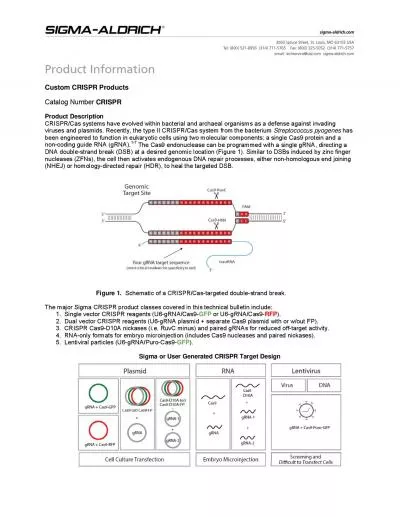 Custom CRISPR ProductsCatalog Number CRISPRProduct DescriptionCRISPRC