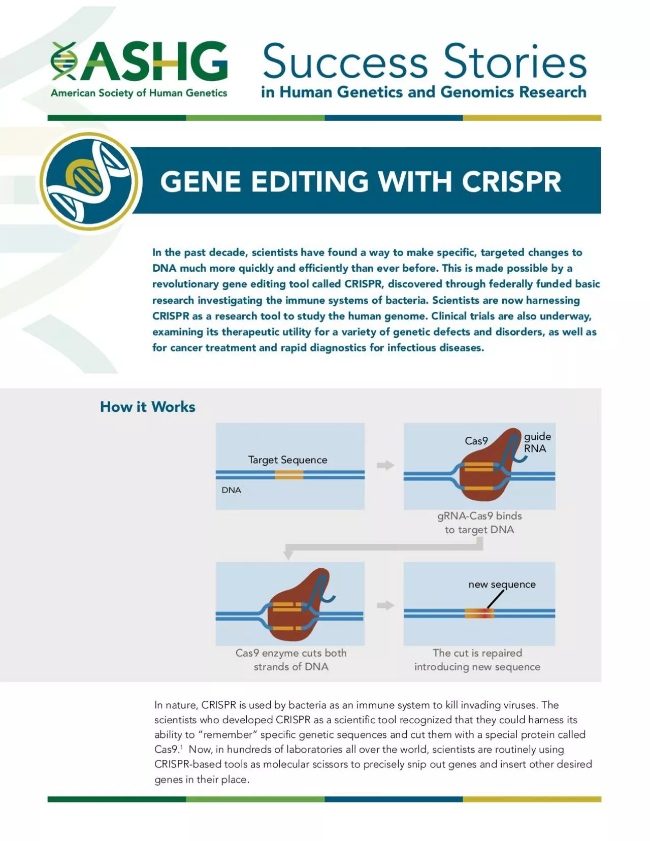 PDF-Target SequenceDNA