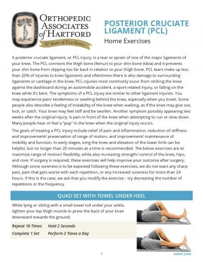 POSTERIOR CRUCIATE