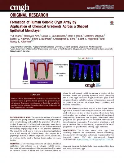 ORIGINALRESEARCHFormationofHumanColonicCryptArraybyApplicationofChemic