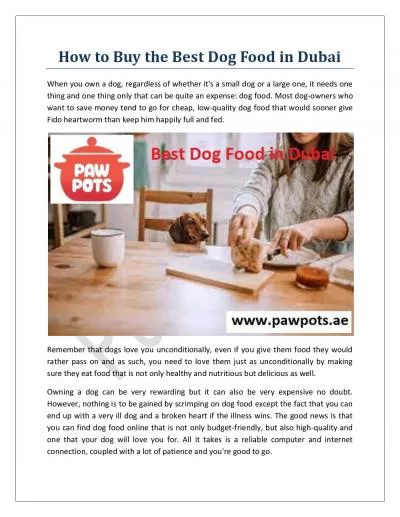 How to Buy the Best Dog Food in Dubai