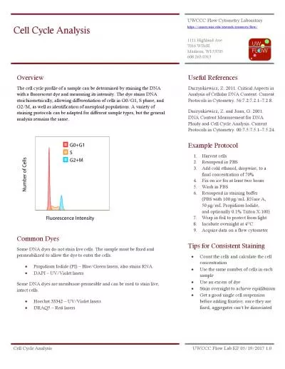 Cell Cycle AnalysisUWCCC Flow Lab20110