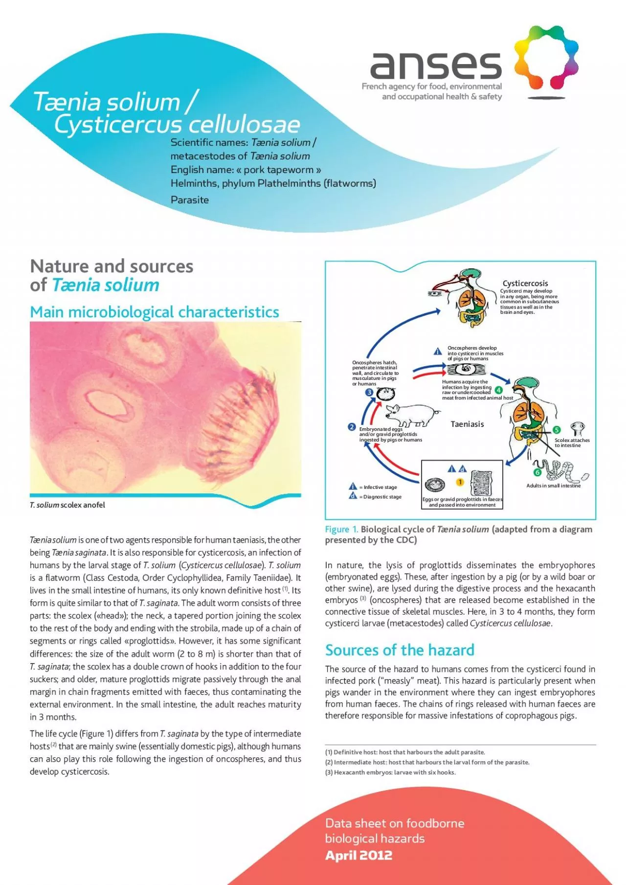 PDF-Nature and sources