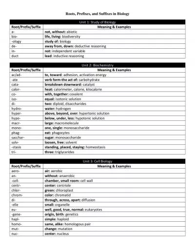 Roots Prefixes and Suf